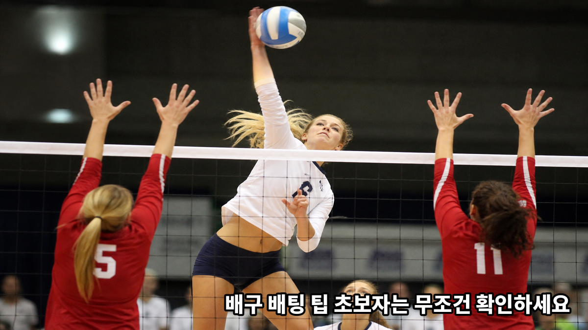 배구 배팅 팁 초보자는 무조건 확인하세요