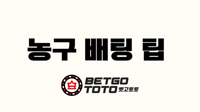 농구 배팅 팁