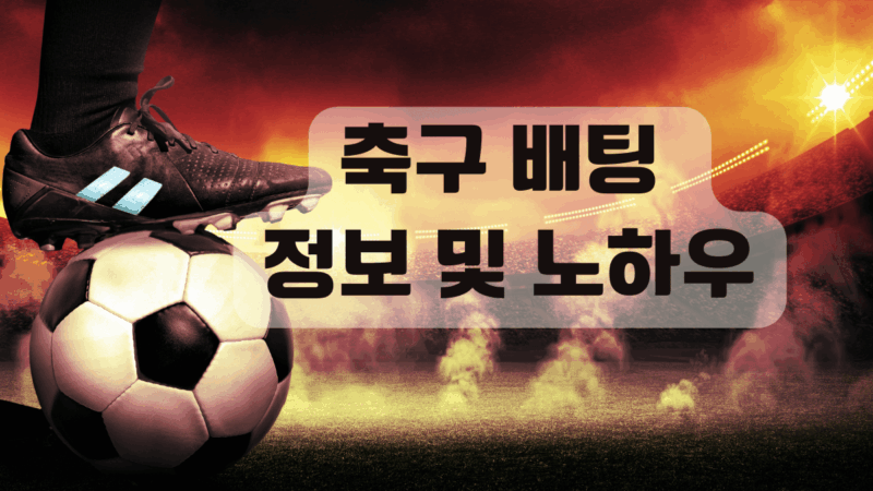 축구 배팅 정보 및 노하우
