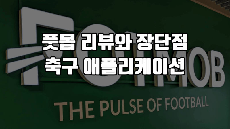 풋몹 리뷰와 장단점