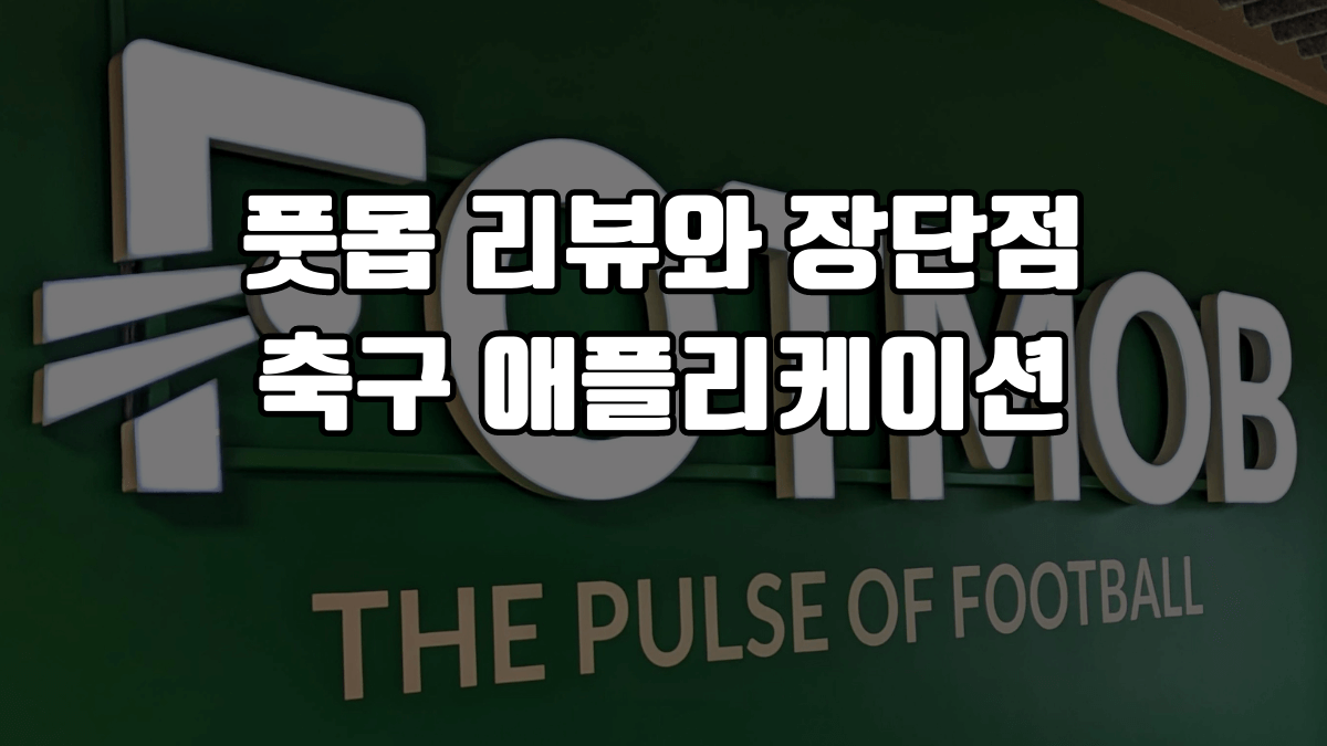 풋몹 리뷰와 장단점