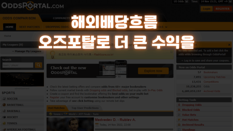 해외배당흐름 오즈포탈로 더 큰 수익을