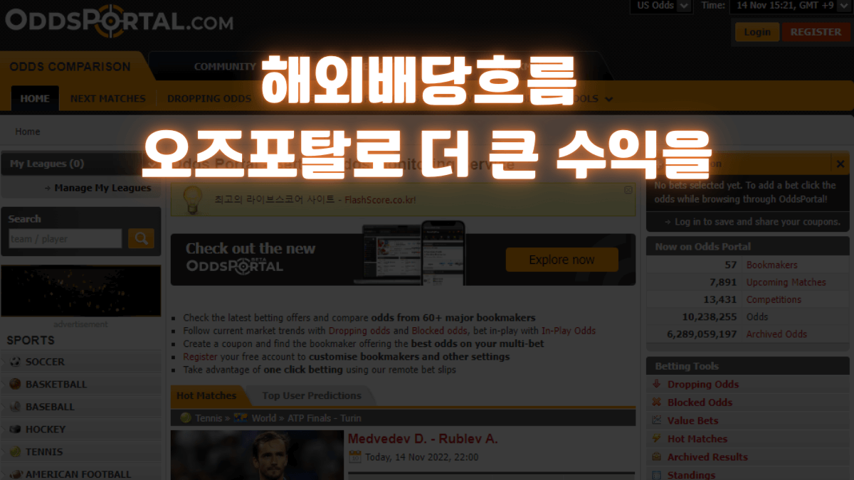 해외배당흐름 오즈포탈로 더 큰 수익을